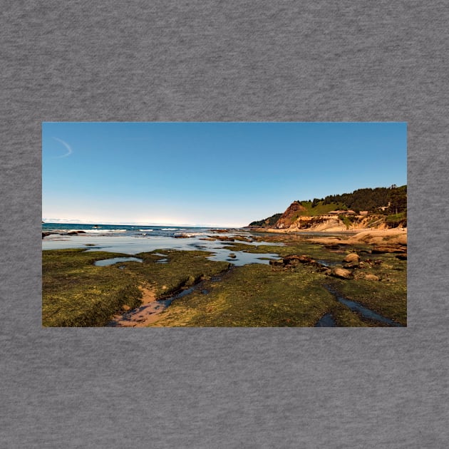 Otter Crest Beach Oregon by supernova23